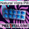 Natural Vigra Pill viagra1